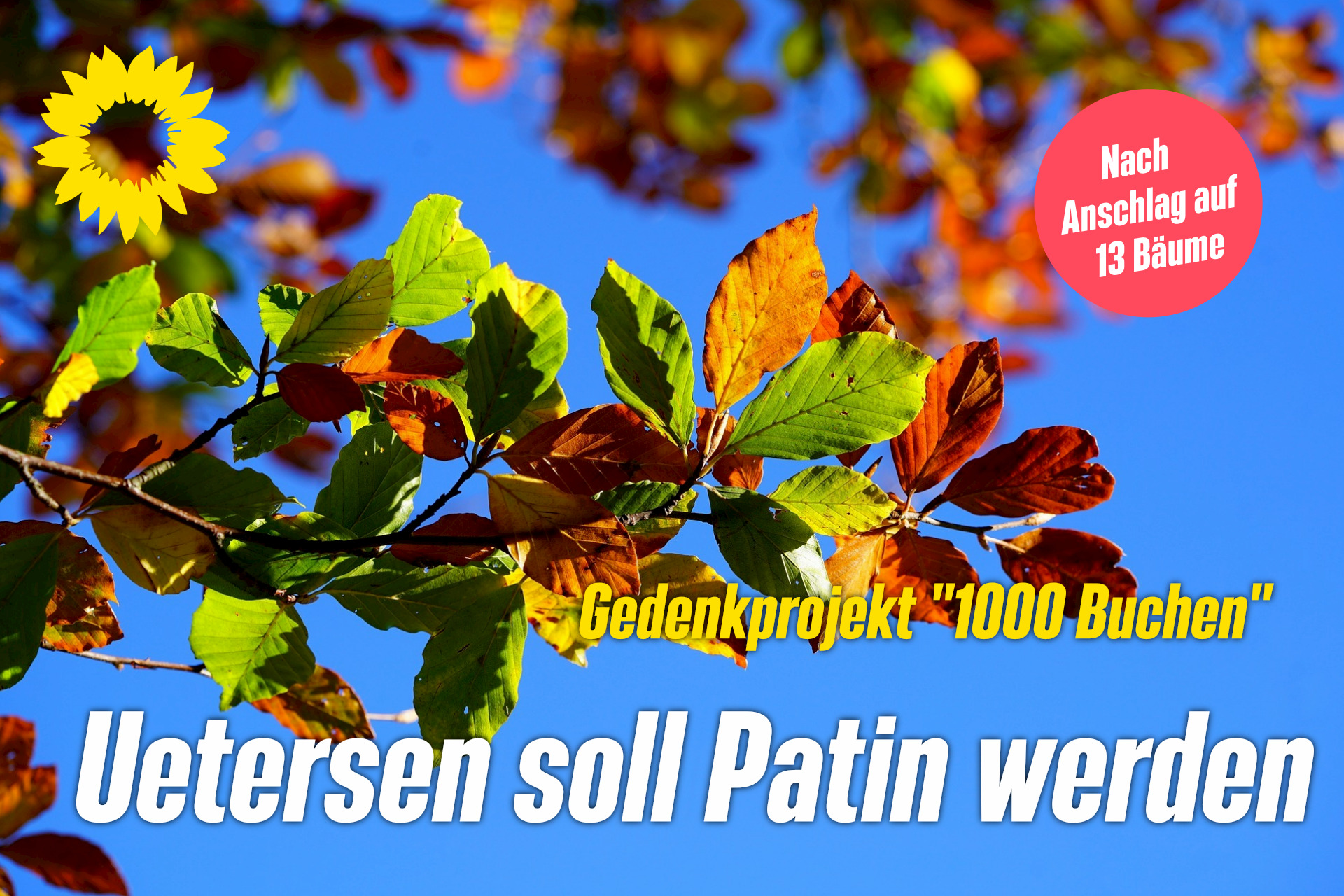 Foto von einem Zweig mit buntem Herbstlaub vor blauem Himmel. Darauf der Text: "Uetersen soll Patin werden." Oben links die gelbe Sonnenblume der Grünen.