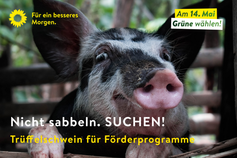 Gesucht: Trüffelschwein für Fördermittel